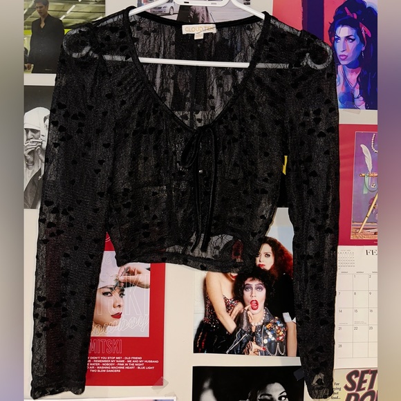 Mesh Heart Longsleeve Cropped Bustier Top - Picture 2 of 4